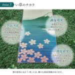 pisocomodo_8236900_12