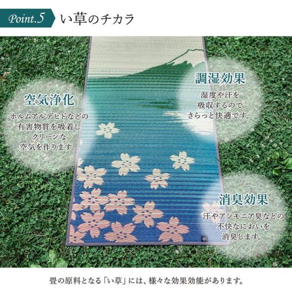 96234641_3086205911471653_8948740523594612736_n