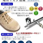 156210398_3894896117269291_7746806122265793366_n