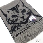 osyarehime_sl-wp028040