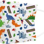 71MeL7HeZ2L._AC_SL1100_